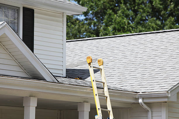 Best Hoarding Cleanup  in Westwego, LA